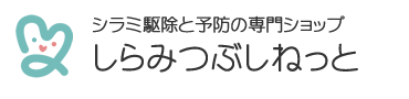 シラミ アタマジラミ 成虫や卵の画像と生体説明 しらみつぶしねっと シラミ アタマジラミ 成虫や卵の画像と生体説明 しらみつぶしねっと